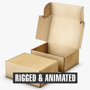 3D model packaging box rigged