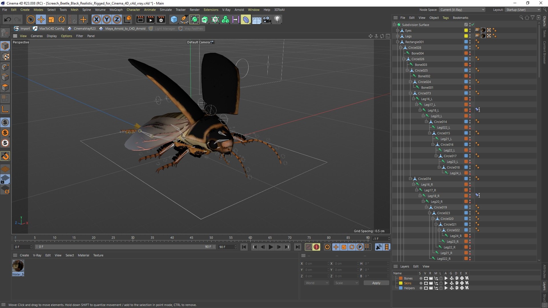 3D Screech Beetle Black Realistic Rigged for Cinema 4D https://p.turbosquid.com/ts-thumb/y4/5eVZNJ/41/screech_beetle_black_realistic_rigged_for_cinema_4d_006/jpg/1732607666/1920x1080/fit_q87/7fcf5b8ff93692859b48c05a129858fab406edc5/screech_beetle_black_realistic_rigged_for_cinema_4d_006.jpg