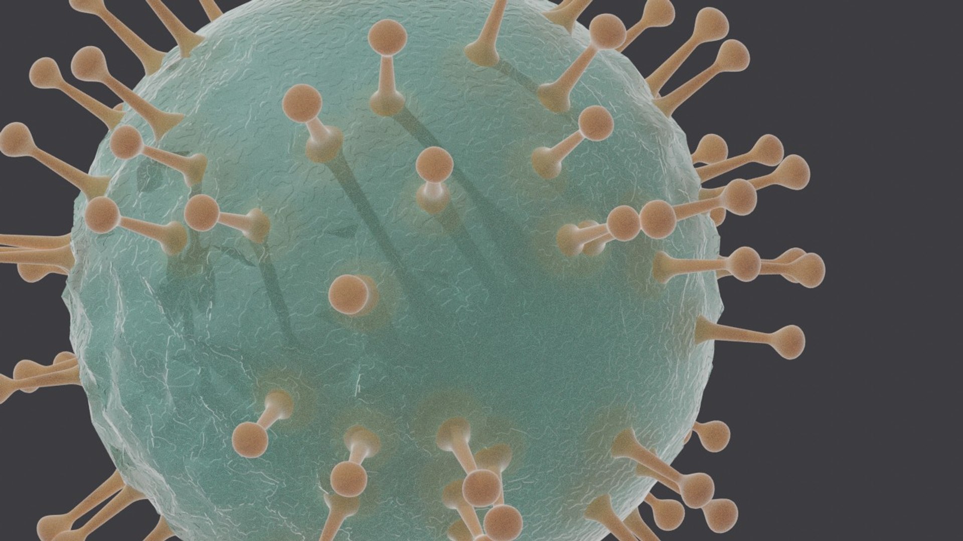 Vih Virus 3D Model - TurboSquid 1506441