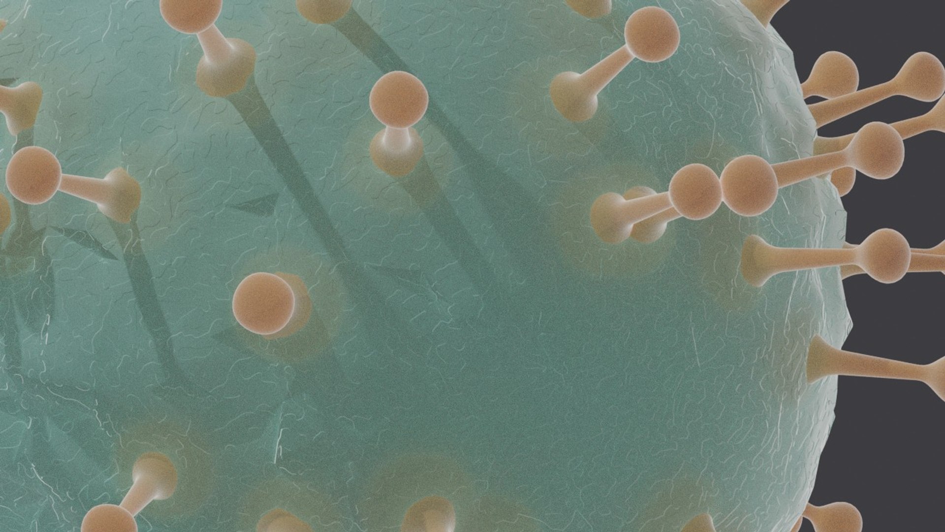 Vih Virus 3D Model - TurboSquid 1506441