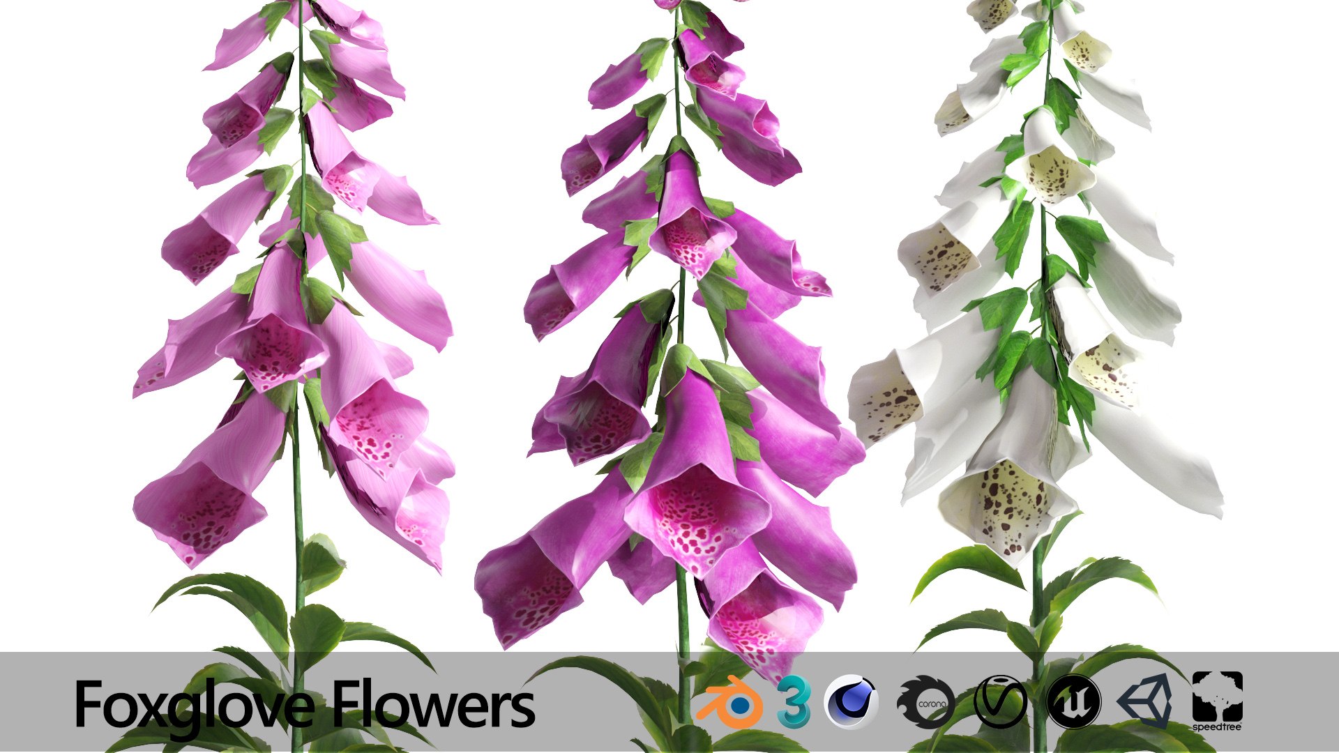Vibrant Fox Glove Flowers 3D model https://p.turbosquid.com/ts-thumb/y4/NZRILw/PP/foxgloves02/jpg/1696028414/1920x1080/fit_q87/7665765b5a3619e95dbf1efa3ac029ae4e9c4cbc/foxgloves02.jpg