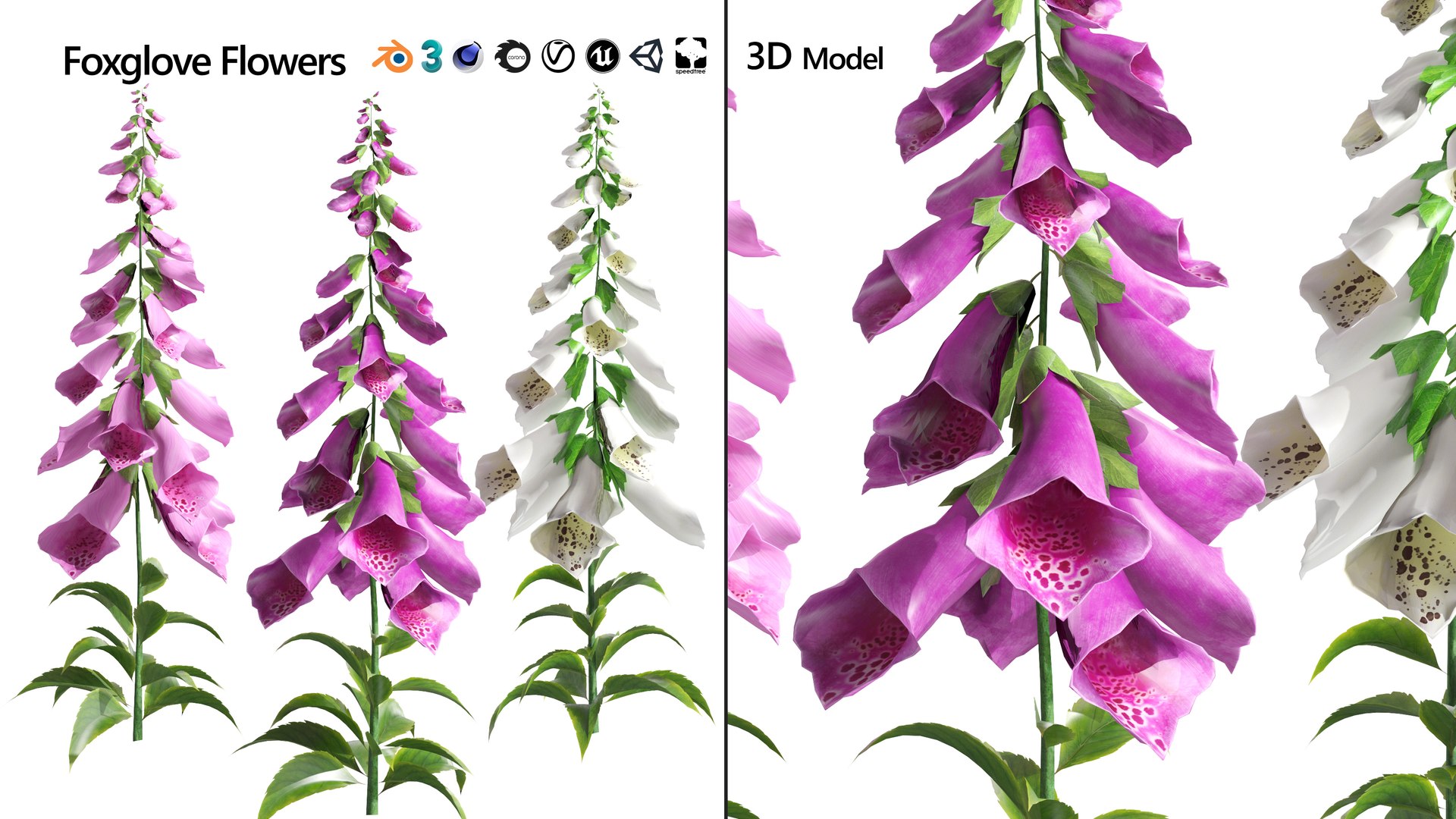 Vibrant Fox Glove Flowers 3D model https://p.turbosquid.com/ts-thumb/y4/NZRILw/RJ/foxgloves/jpg/1696028521/1920x1080/fit_q87/b5344a666c6ce2f37774e0b58be69080f731af77/foxgloves.jpg