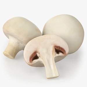 Mushroom Champignon 3D model