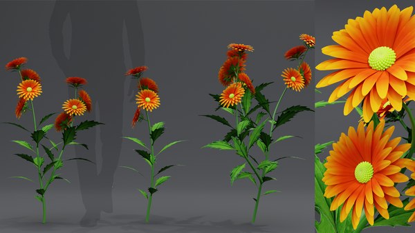 3d Flower Plant 3D model