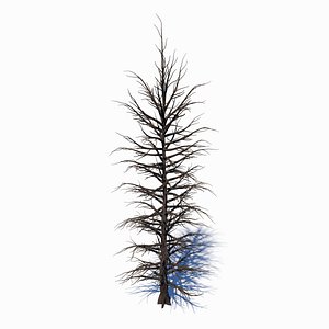 3D dead tree