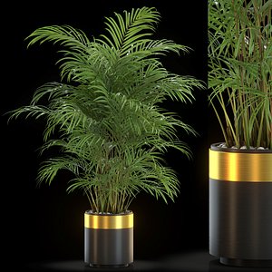 Plants collection 637 3D model