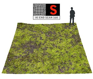 3d forest ground 16k hd model