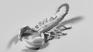 Scorpion 02 STL