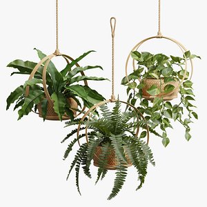 Hanging Plants 02 3D