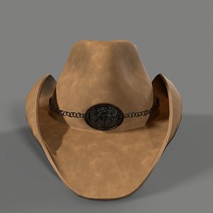 3D cowgirl hat