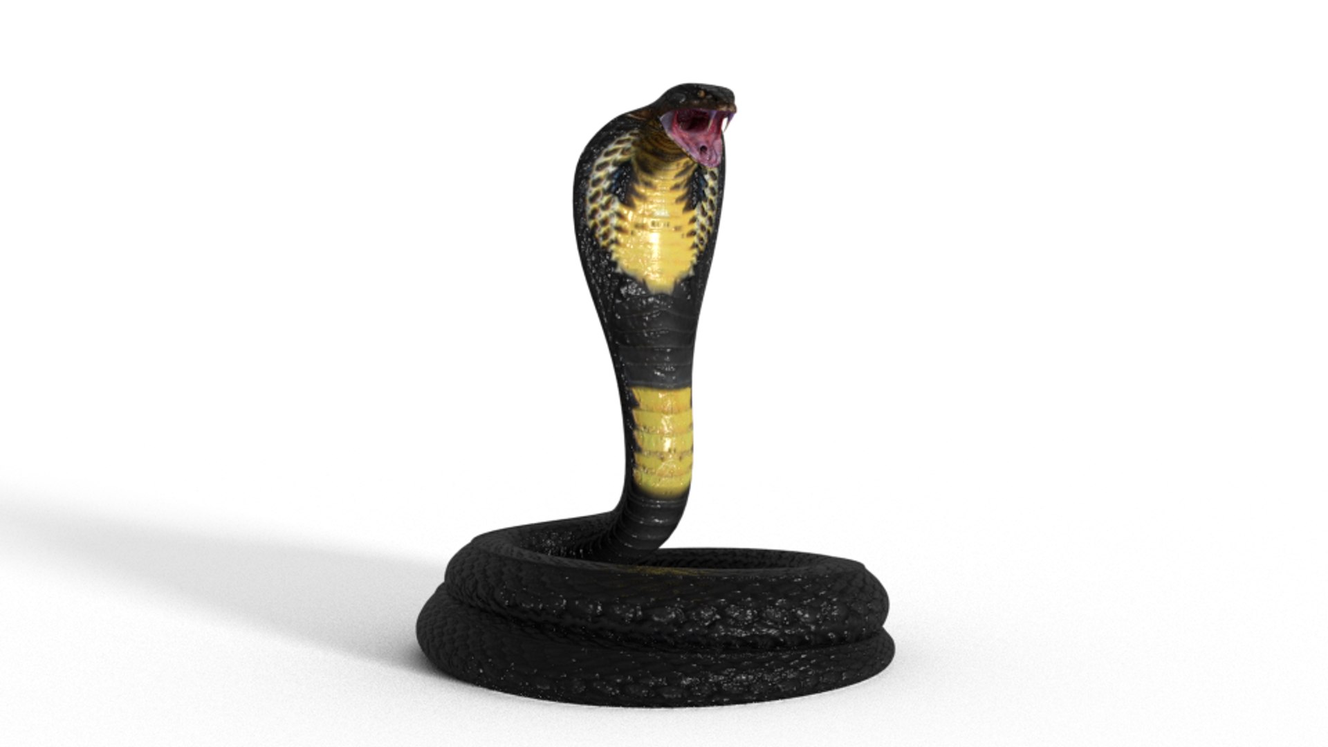 King cobra model - TurboSquid 1605937