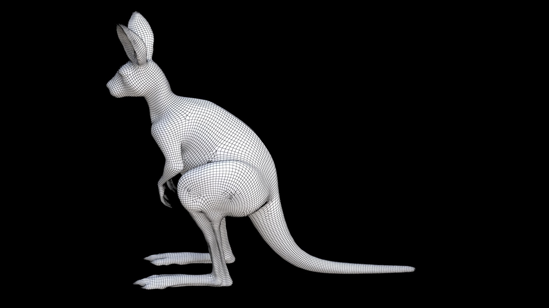 Kangaroo 1 3D Model - TurboSquid 2335007