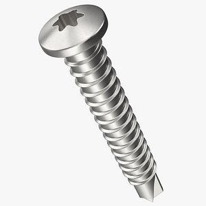 Self Drilling Screw