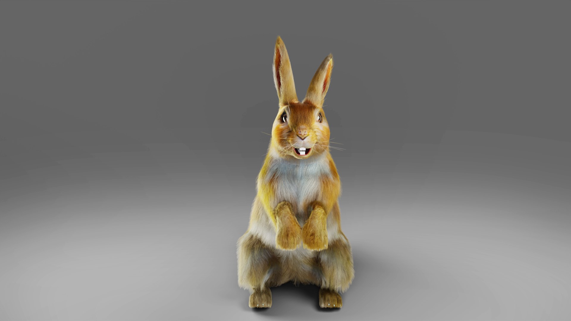 Fur Rabbit Rigged And Animation In Blender 3D - TurboSquid 1928660