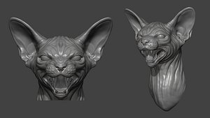 Sphinx cat grin 3D