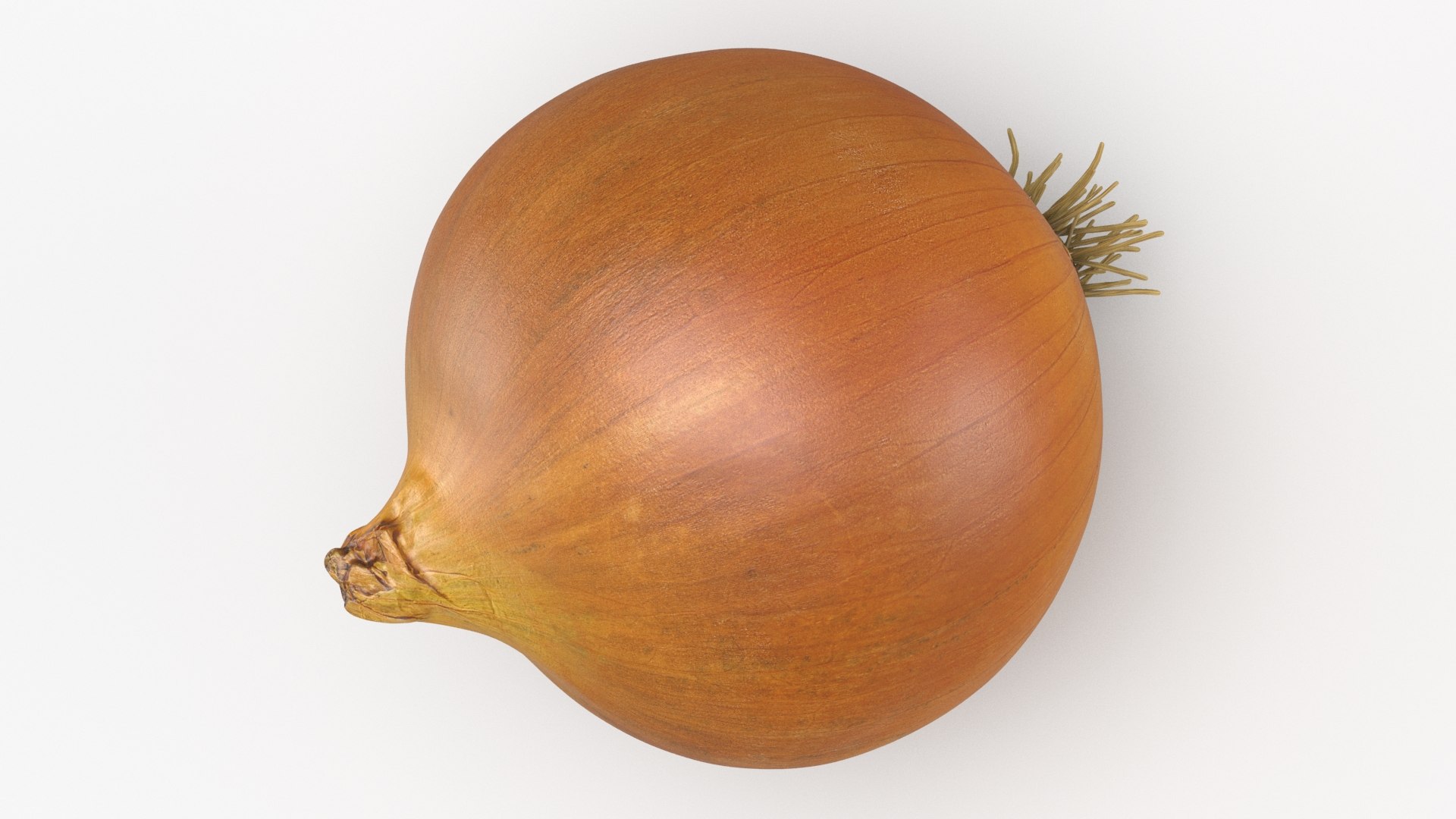 Root Vegetables Collection 3 3D https://p.turbosquid.com/ts-thumb/y5/sgd2P6/9h/onionwhole_a0001/jpg/1770879689/1920x1080/fit_q87/0e7078aec1b63ae27a03db025399a693dc02f9de/onionwhole_a0001.jpg