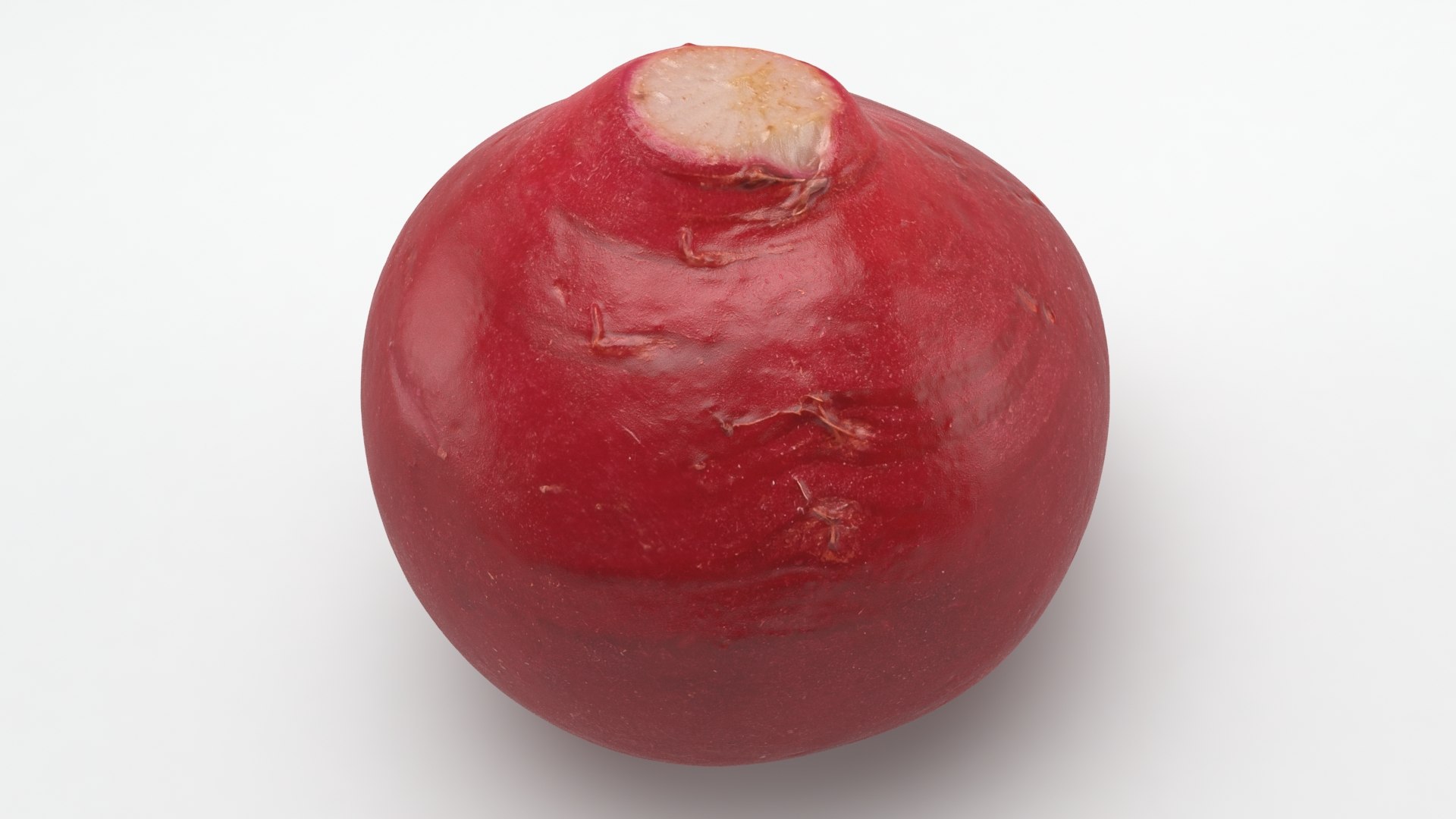 Root Vegetables Collection 3 3D https://p.turbosquid.com/ts-thumb/y5/sgd2P6/Uz/radishbaby_a0001/jpg/1770879692/1920x1080/fit_q87/5f6b8e42cff11ee65e6cfaa5f87a5e8db1b82f48/radishbaby_a0001.jpg