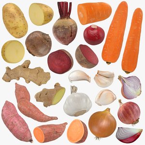 Root Vegetables Collection 3