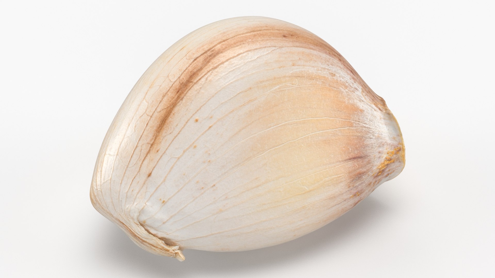 Root Vegetables Collection 3 3D https://p.turbosquid.com/ts-thumb/y5/sgd2P6/v8/garlicclove01_a0001/jpg/1770879685/1920x1080/fit_q87/85820ca72e85c8f5d4552f98ee92b58196cea8f1/garlicclove01_a0001.jpg