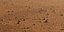 Mars surface