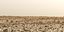 Mars surface
