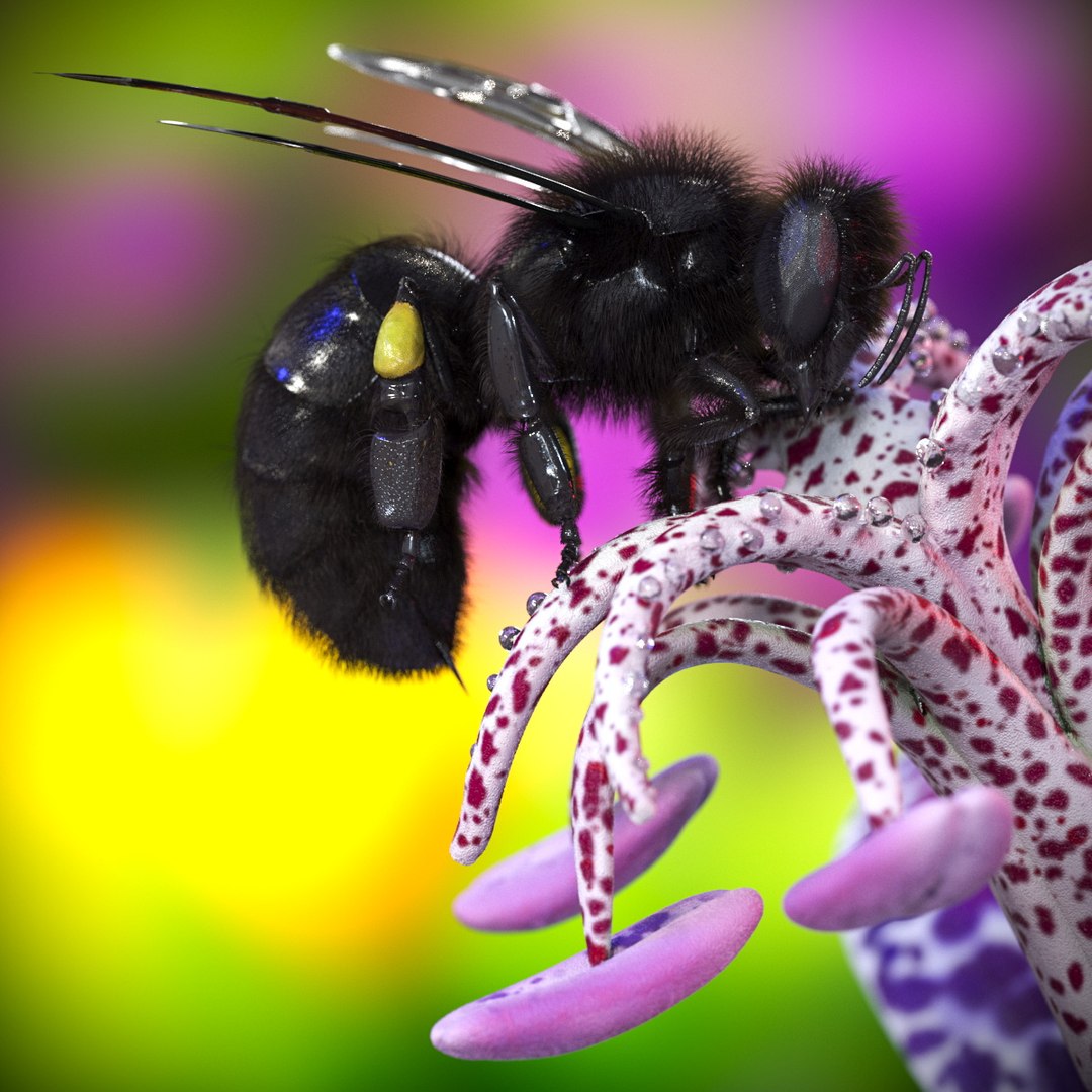 3D Carpenter Bee Insect Black Ready Pose Fur https://p.turbosquid.com/ts-thumb/y6/8fATJG/EF/carpenter_bee_insect_black_ready_pose_fur_001/jpg/1755642807/1920x1080/fit_q87/07aa66c0bcf3659f88945ffc9d147f5b82a9a44b/carpenter_bee_insect_black_ready_pose_fur_001.jpg