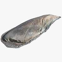 Archipelago rock scan smooth whaleshaped 8k