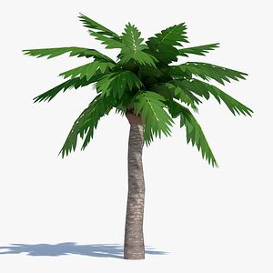 3d cartoon palm tree model