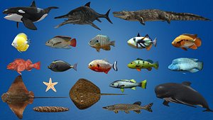 Fish Collection Animated - Game Ready Pack 3