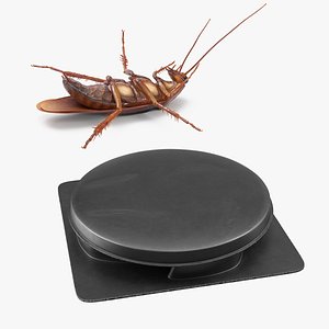 Animated Cockroach with Bait Collection 3D model