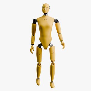 Rigged Crash Test Female Mannequin 3D