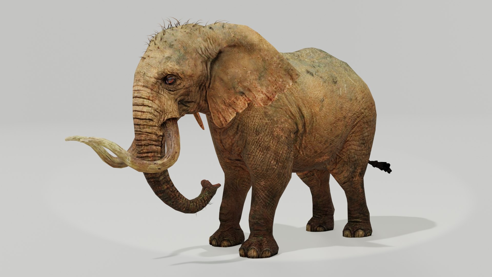 Elephant Low Poly Animated 3D model https://p.turbosquid.com/ts-thumb/y6/mkucV7/Ak/preview020001/jpg/1642260549/1920x1080/fit_q87/af33bd8dabcf7824f42f2e9c0a1968e52dc39441/preview020001.jpg