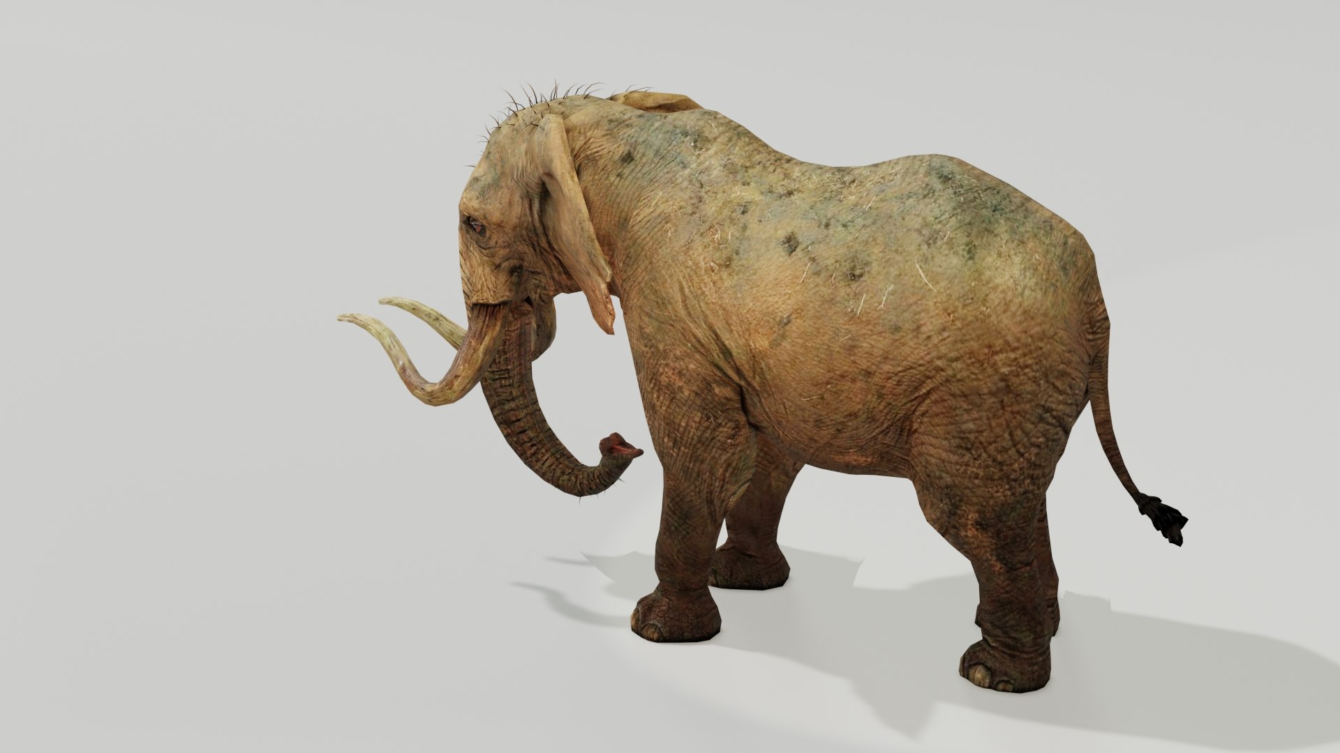Elephant Low Poly Animated 3D model https://p.turbosquid.com/ts-thumb/y6/mkucV7/FK/preview040001/jpg/1642260549/1920x1080/fit_q87/b554ec3fc70d70dab722e99baa49dc4a57e07ef1/preview040001.jpg