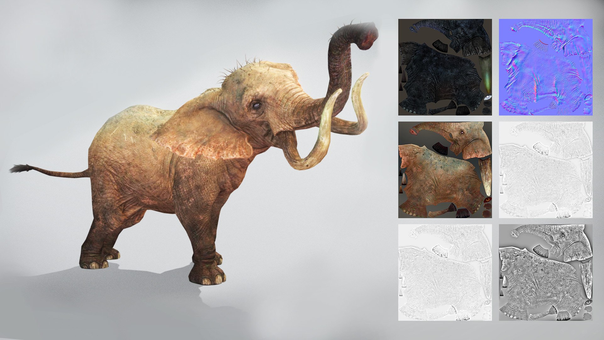 Elephant Low Poly Animated 3D model https://p.turbosquid.com/ts-thumb/y6/mkucV7/FT/preview05/jpg/1642260548/1920x1080/fit_q87/8f6641edef6a104904f61cd53df3ad7bc3996c4b/preview05.jpg