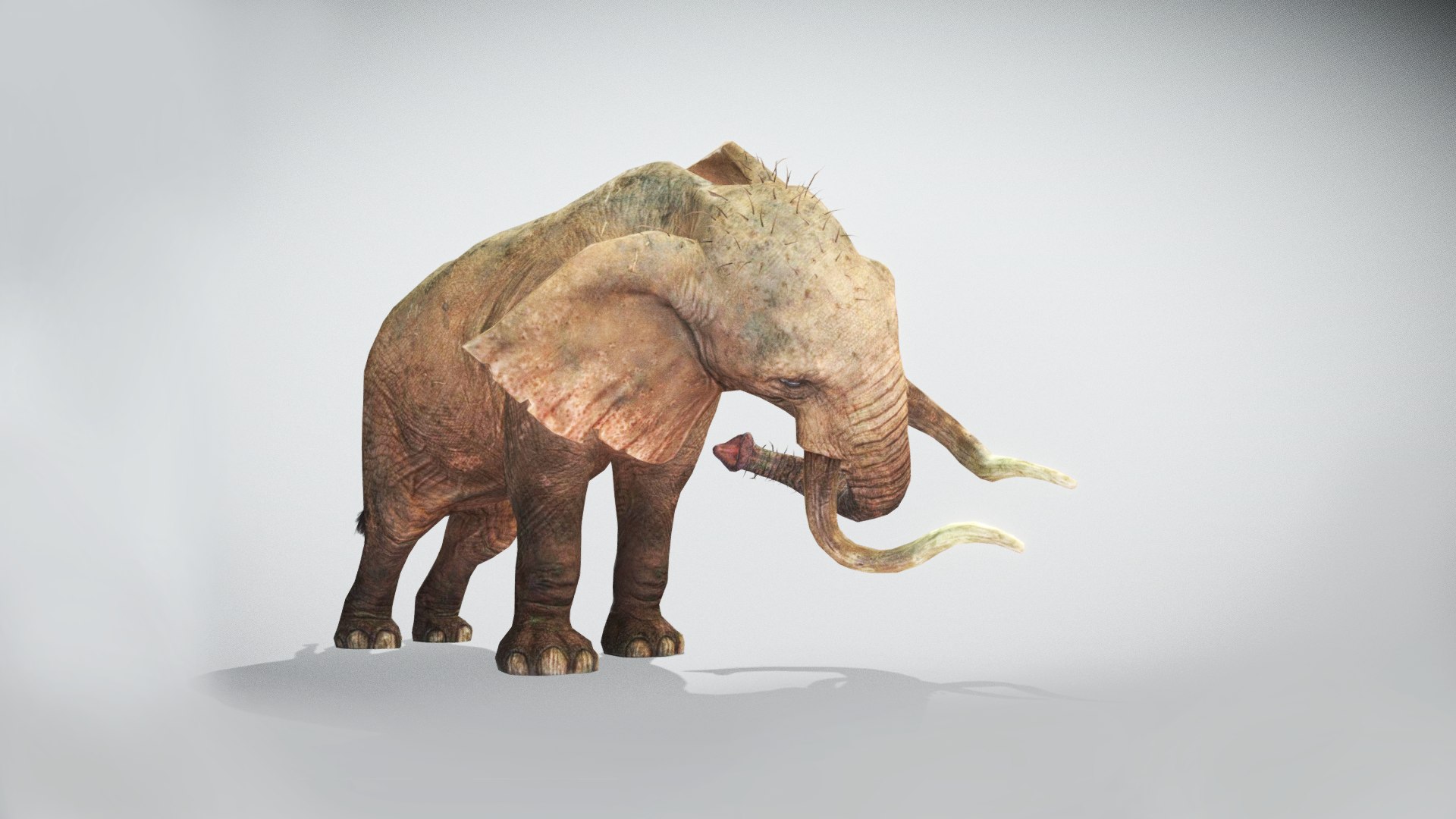 Elephant Low Poly Animated 3D model https://p.turbosquid.com/ts-thumb/y6/mkucV7/Jv/screenshot984/png/1642260550/1920x1080/fit_q87/55cb682b5d496521fe23e3b7ceefca9d95cb5b9a/screenshot984.jpg