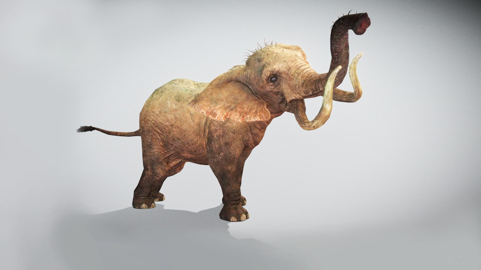Elephant Low Poly Animated 3D model https://p.turbosquid.com/ts-thumb/y6/mkucV7/Ky/screenshot986/png/1642260551/1920x1080/fit_q87/e496699d293350a2a563f84fd00f9ec6c500596d/screenshot986.jpg