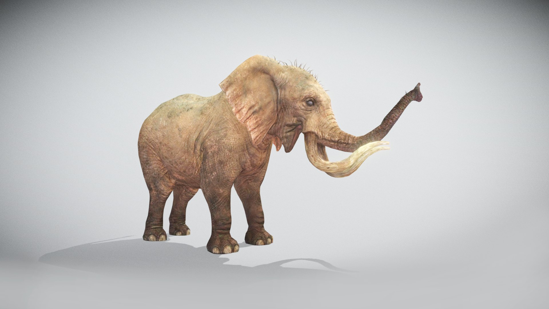 Elephant Low Poly Animated 3D model https://p.turbosquid.com/ts-thumb/y6/mkucV7/OL/screenshot980/png/1642260547/1920x1080/fit_q87/406546820c66546ffc9aea9055c990c7ccca316c/screenshot980.jpg