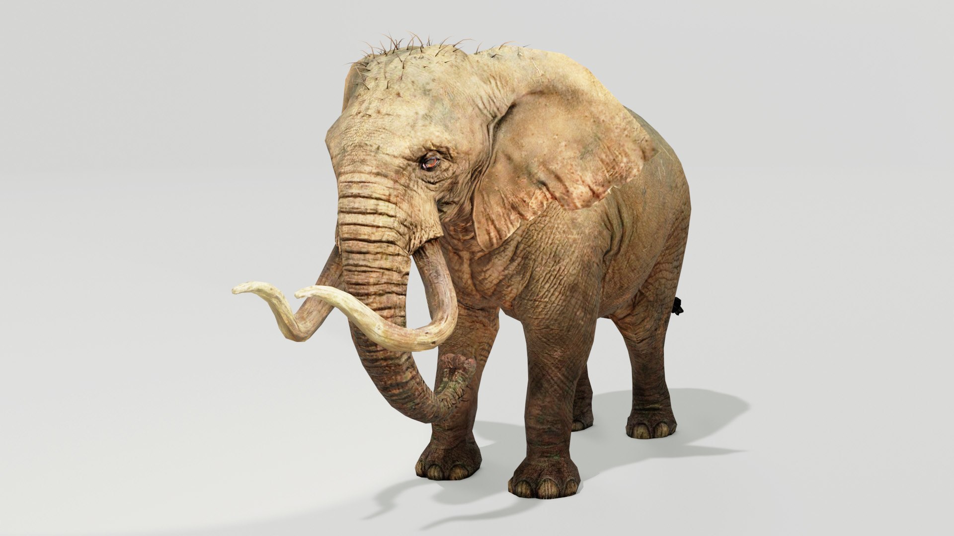 Elephant Low Poly Animated 3D model https://p.turbosquid.com/ts-thumb/y6/mkucV7/RO/preview010001/jpg/1642260548/1920x1080/fit_q87/ebc1dcb542ce91c3dab9858121436c8472b084bf/preview010001.jpg