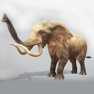 Elephant Low Poly Animated 3D model