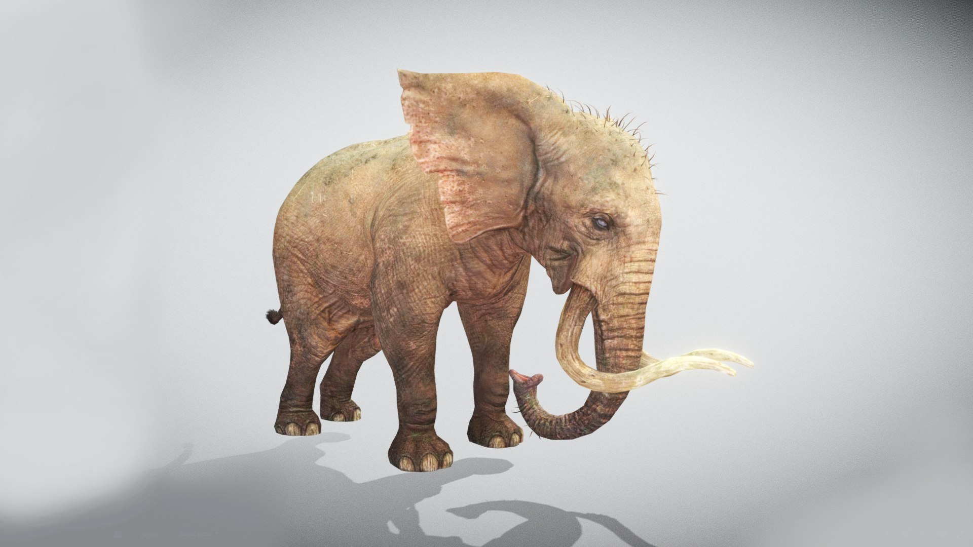 Elephant Low Poly Animated 3D model https://p.turbosquid.com/ts-thumb/y6/mkucV7/zF/screenshot989/png/1642260555/1920x1080/fit_q87/9bb2223b7b4589c5644c64e52e45db4eafe31b89/screenshot989.jpg