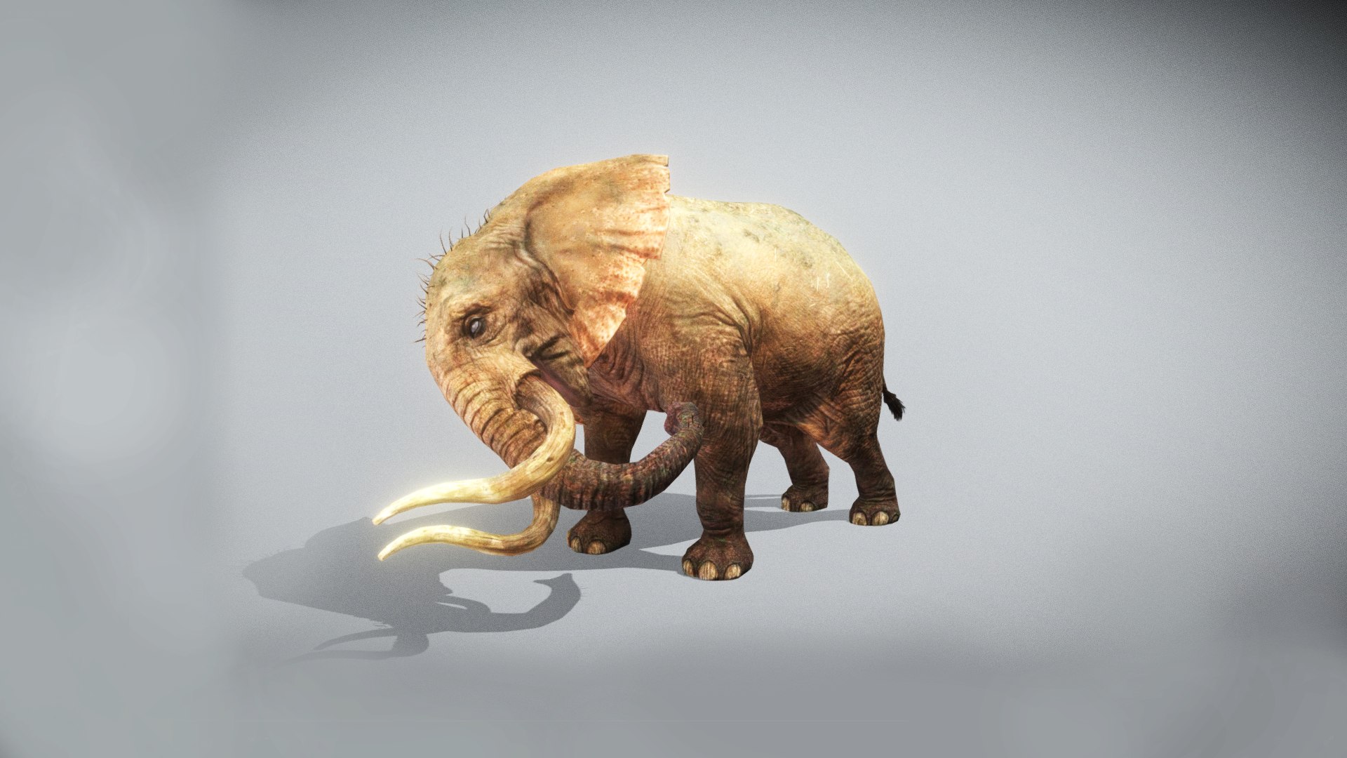 Elephant Low Poly Animated 3D model https://p.turbosquid.com/ts-thumb/y6/mkucV7/zb/screenshot985/png/1642260554/1920x1080/fit_q87/c858a17d50b3e43409a2a002e1eb743c68e98284/screenshot985.jpg