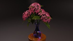Ixora Flower Vase 3D model