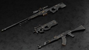 3D CS2 Elite Build Collection