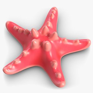 Sea Star Toy 1