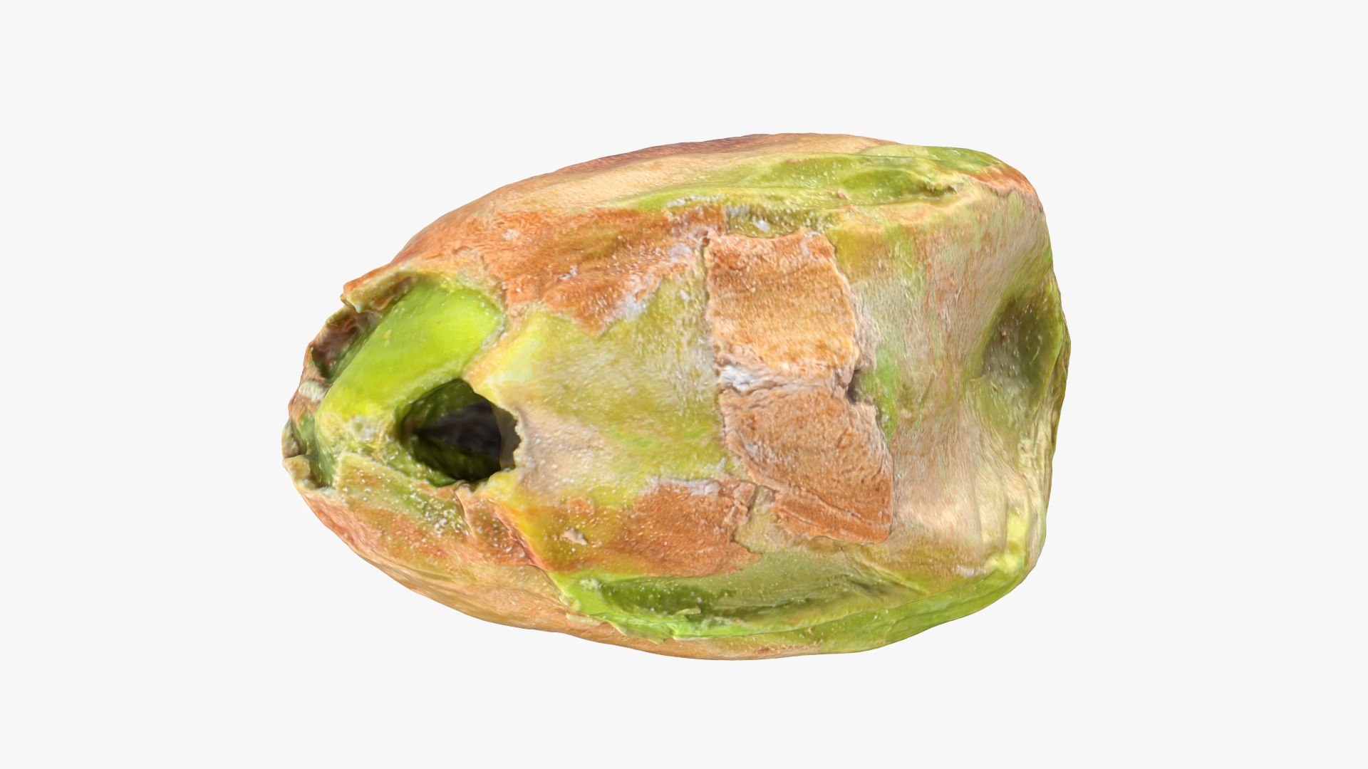 Pistachio Kernel 3D https://p.turbosquid.com/ts-thumb/y7/3PCEVb/Je/pistachiopeeled_0009/png/1754927485/1920x1080/fit_q87/5f75be4f21dd1fe256902276bbf79294b5317cb5/pistachiopeeled_0009.jpg