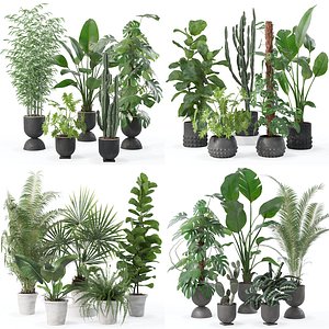 3D 20 Photorealistic Flowers for Interiors - set 128 133 139 143