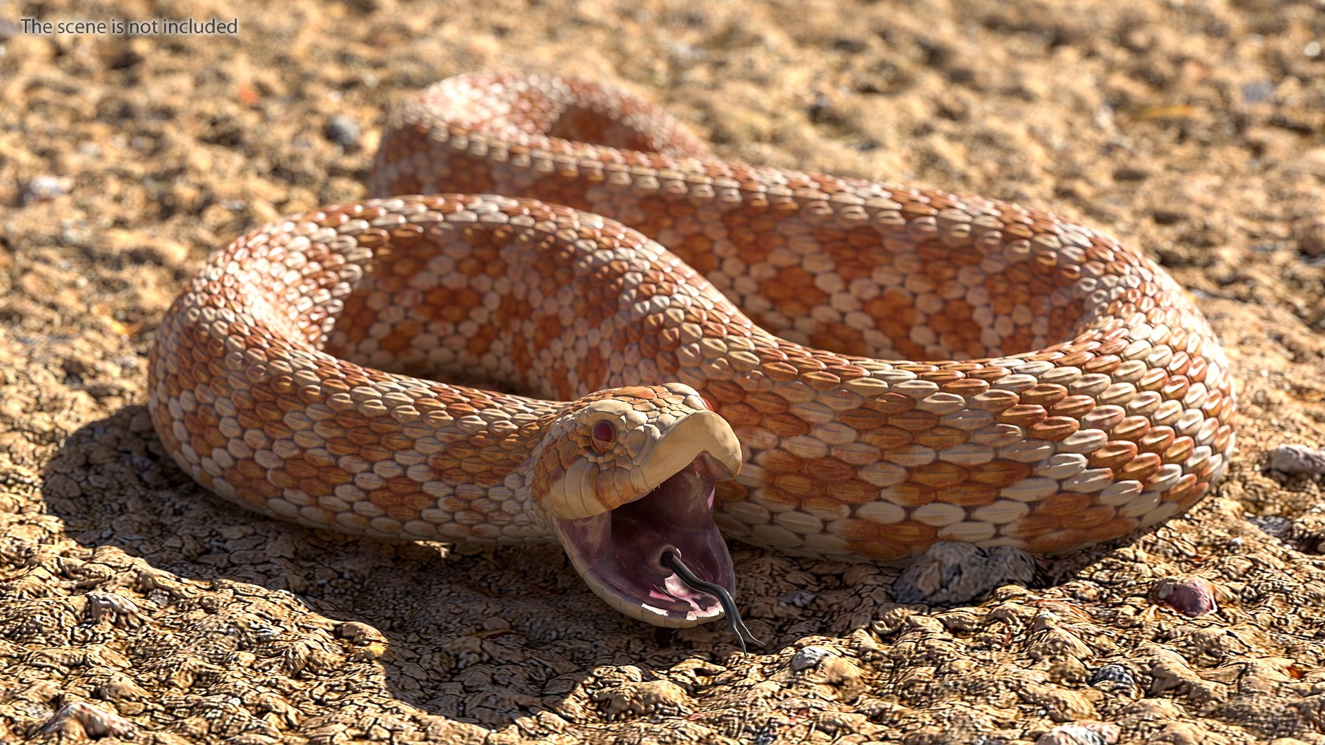 Beige Hognose Snake Rigged for Maya 3D model preview