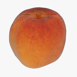 apricot fruit food 3D