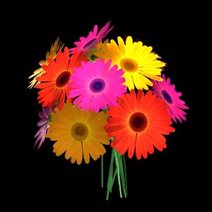 3d gerbera bouquet model