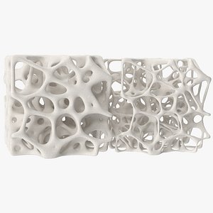 3D square bone structure model